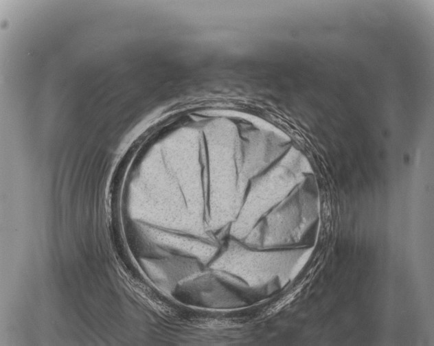 X0000086290246200704271809