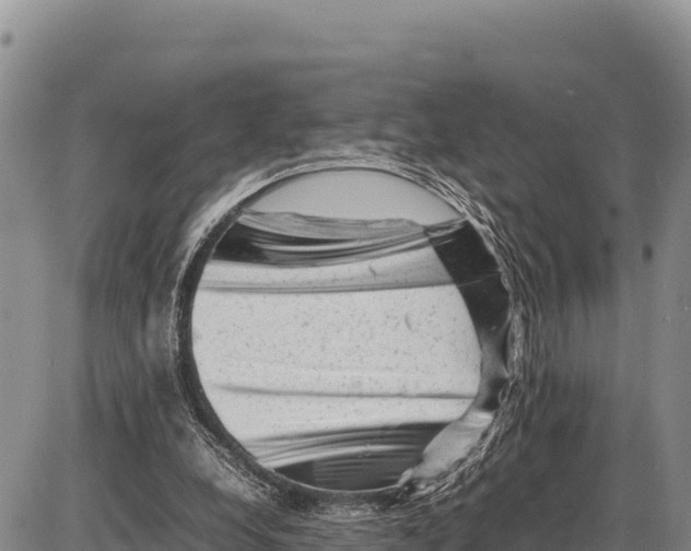 X0000086290248200704271809