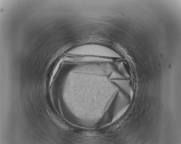 X0000086290250200704271809