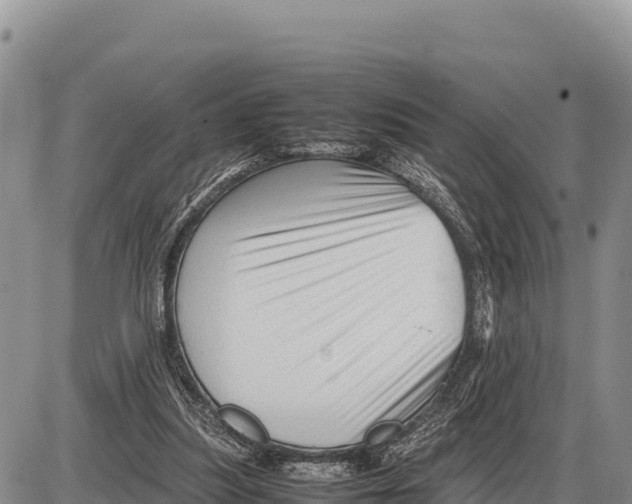 X0000086290251200704271809