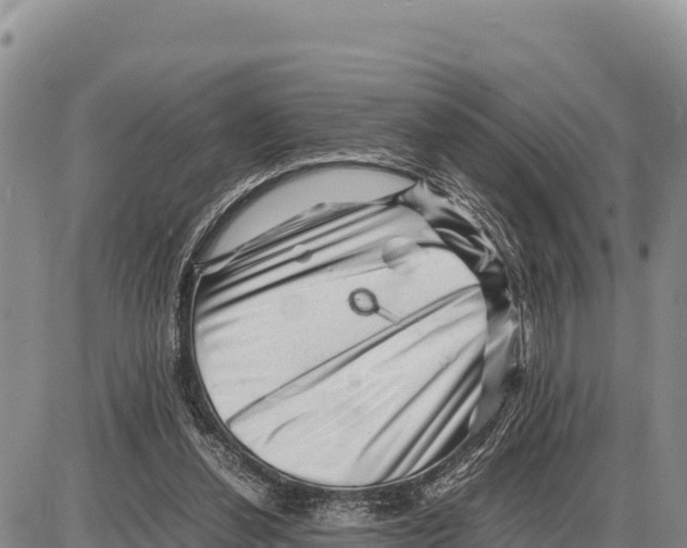 X0000086290252200704271809