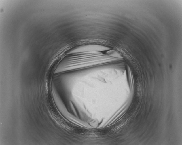 X0000086290254200704271809