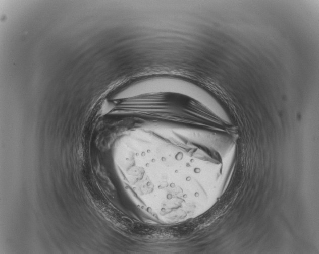 X0000086290256200704271809
