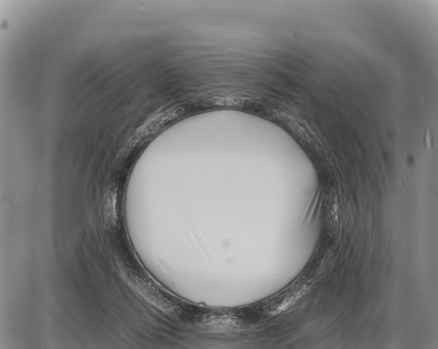 X0000086290262200704271809