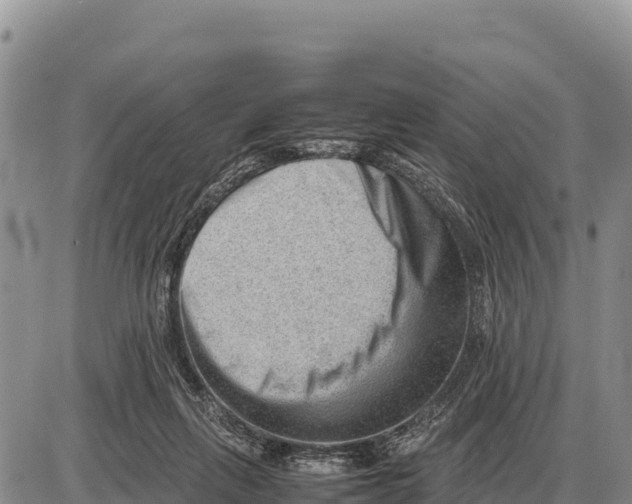X0000086290263200704271809