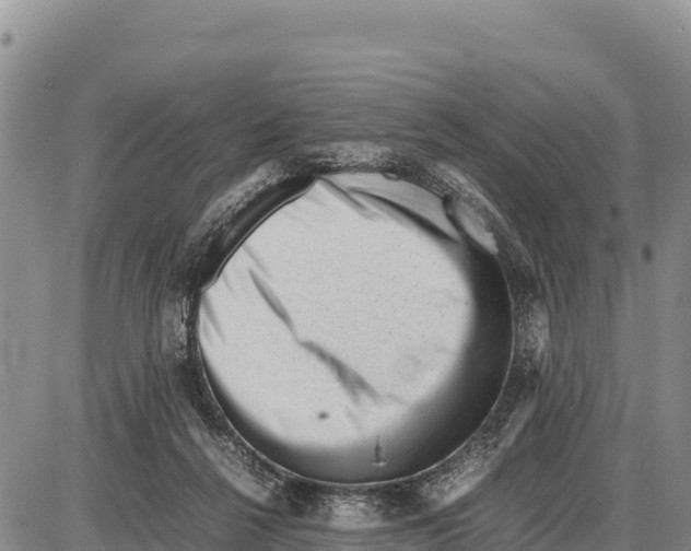 X0000086290264200704271809