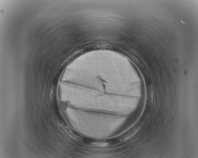 X0000086290266200704271809