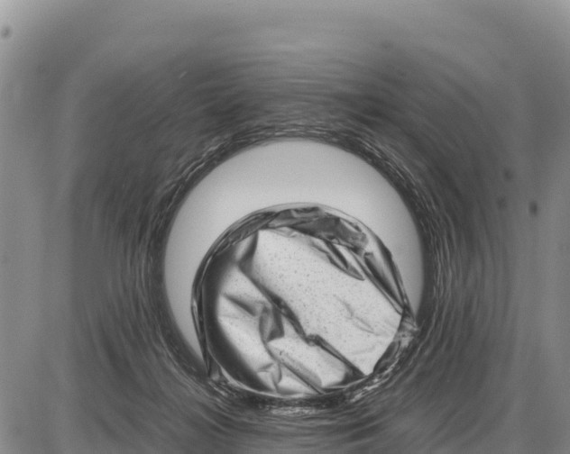 X0000086290268200704271809