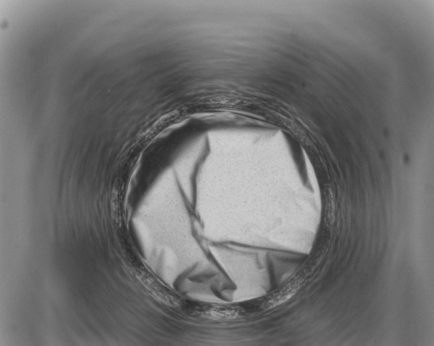 X0000086290270200704271809