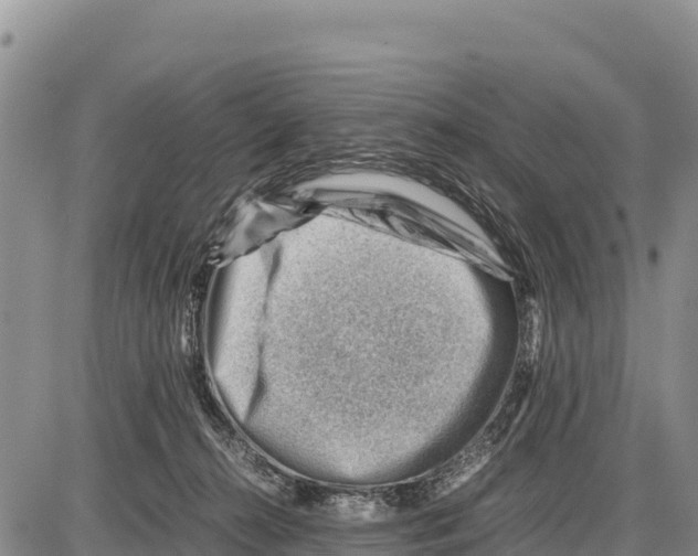 X0000086290272200704271809