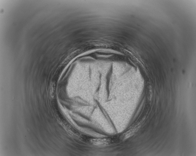 X0000086290273200704271809