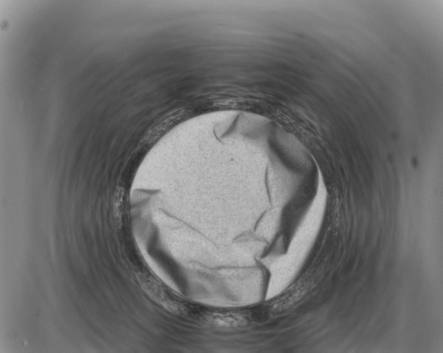 X0000086290275200704271809