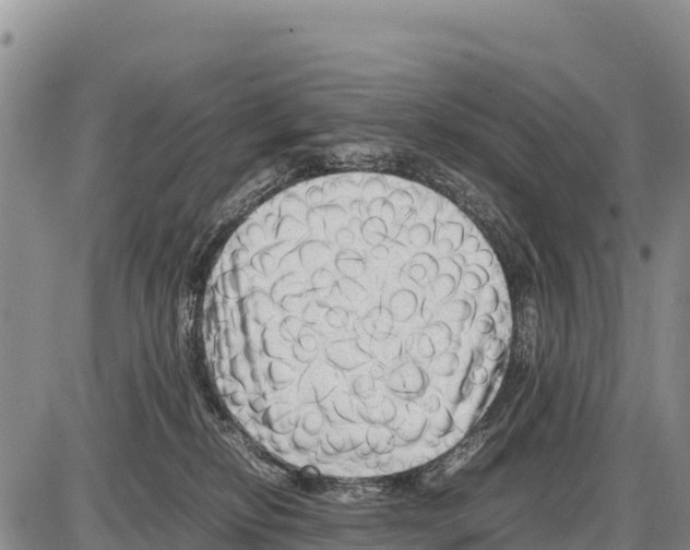 X0000086290278200704271809