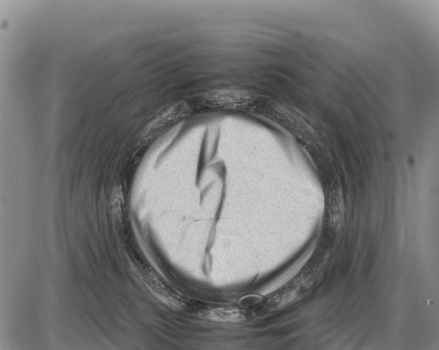 X0000086290279200704271809