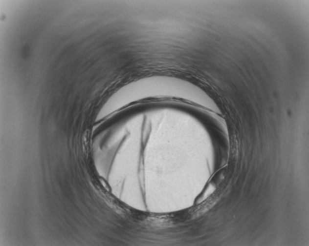 X0000086290280200704271810