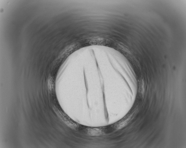 X0000086290287200704271810