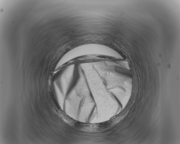 X0000086290288200704271810