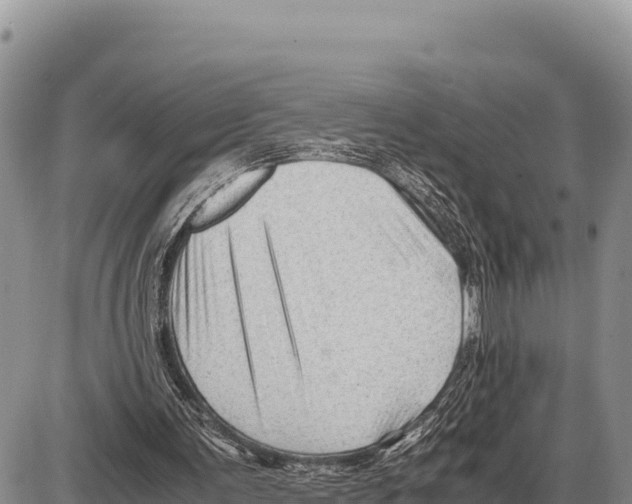 X0000086290291200704271809