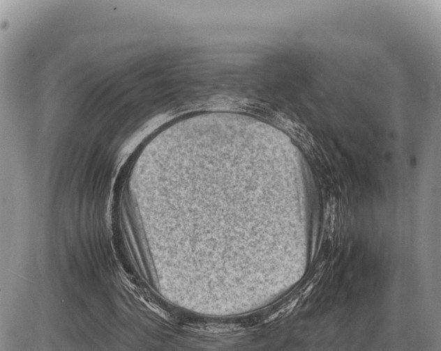 X0000086290292200704271809