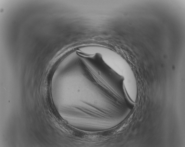 X0000086290295200704271809