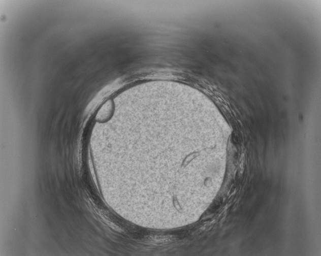 X0000086290296200704271809