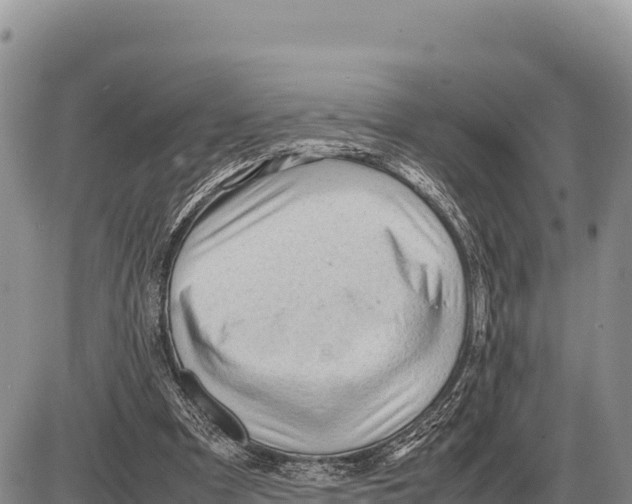 X0000086290297200704271809