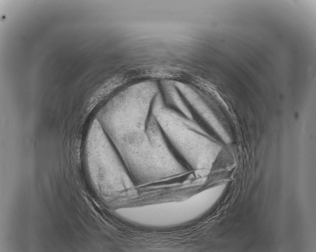 X0000086290299200704271809