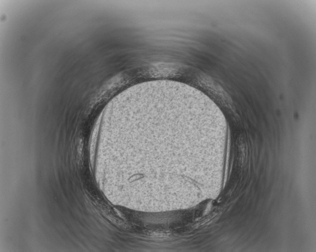 X0000086290308200704271809