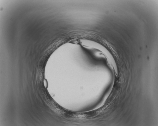 X0000086290313200704271808