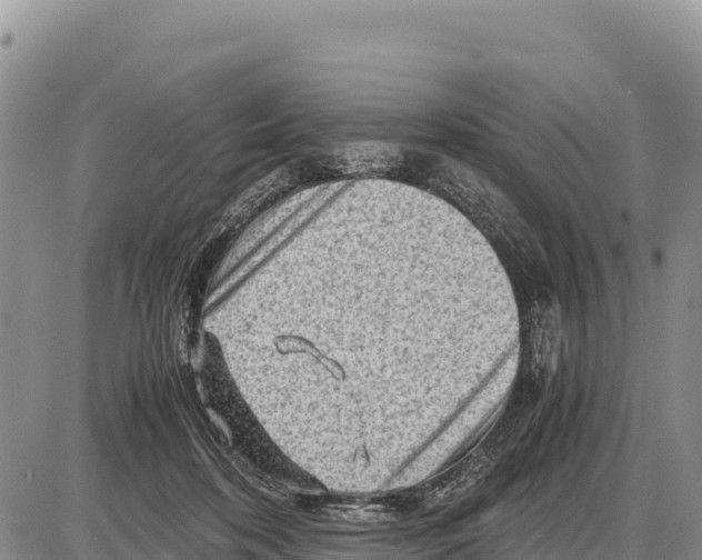 X0000086290316200704271808