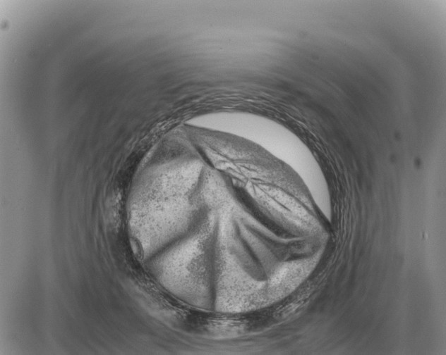 X0000086290319200704271808