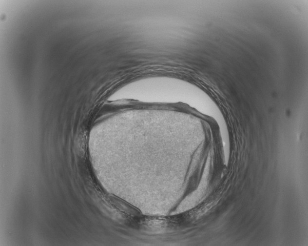 X0000086290325200704271808