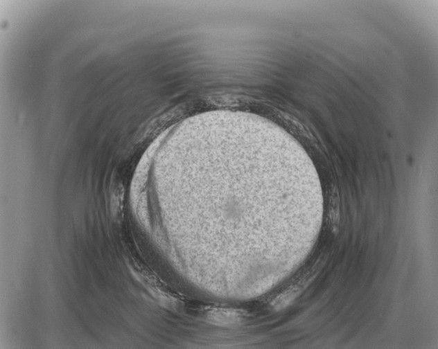 X0000086290332200704271808