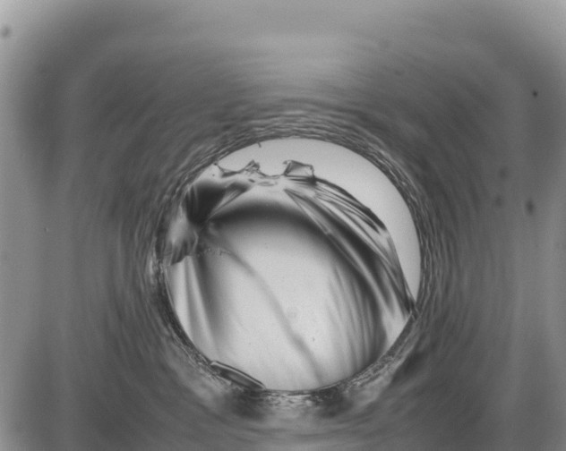 X0000086290333200704271808