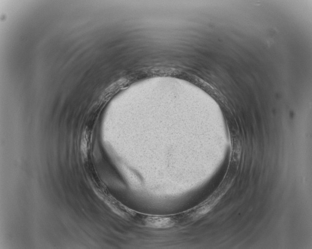 X0000086290334200704271808