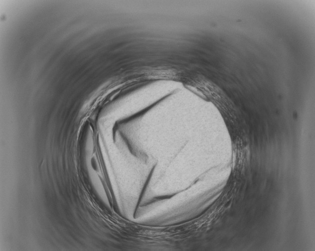 X0000086290339200704271807