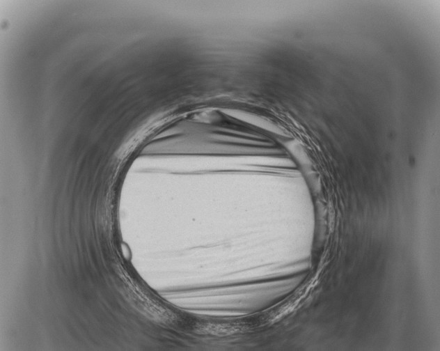 X0000086290341200704271807