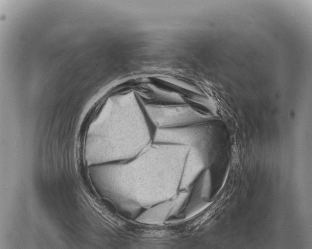 X0000086290342200704271807