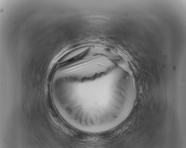 X0000086290344200704271807