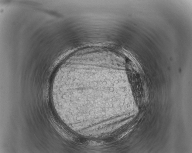 X0000086290346200704271807