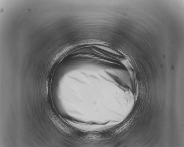 X0000086290350200704271808