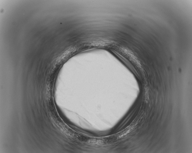 X0000086290354200704271808