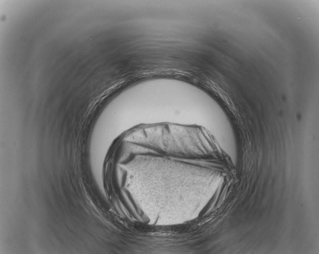 X0000086290356200704271808