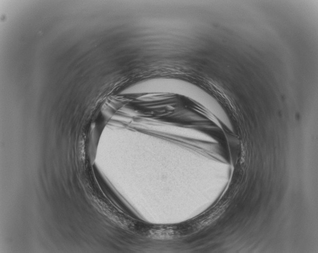 X0000086290362200704271808