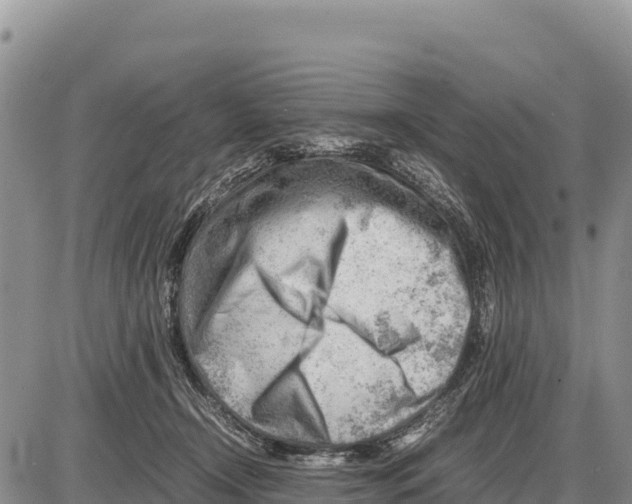 X0000086290366200704271808