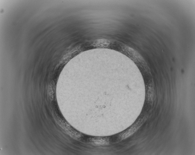 X0000086290370200704271808