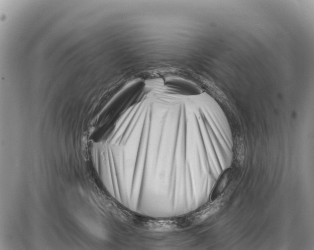 X0000086290378200704271808