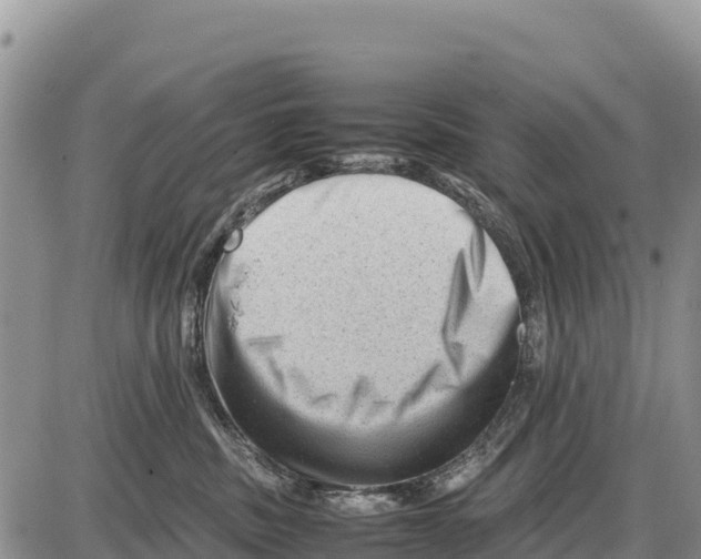 X0000086290379200704271808