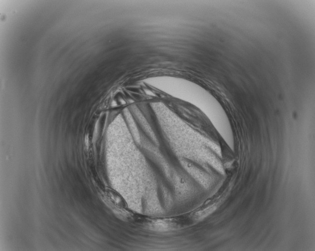 X0000086290382200704271808