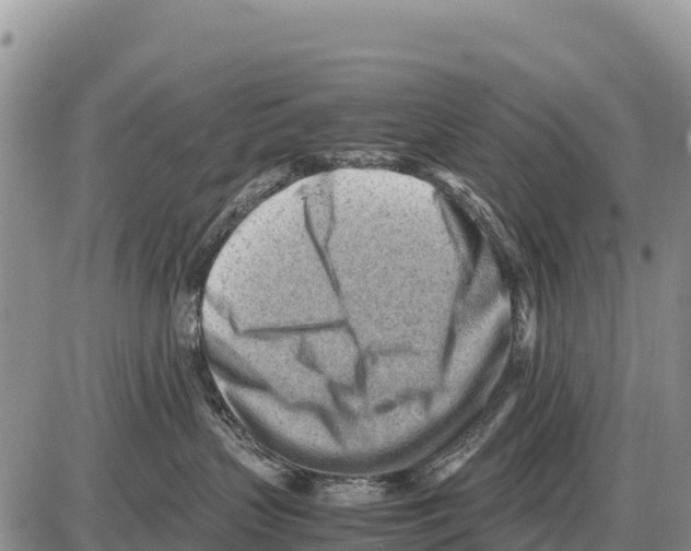 X0000086290383200704271808